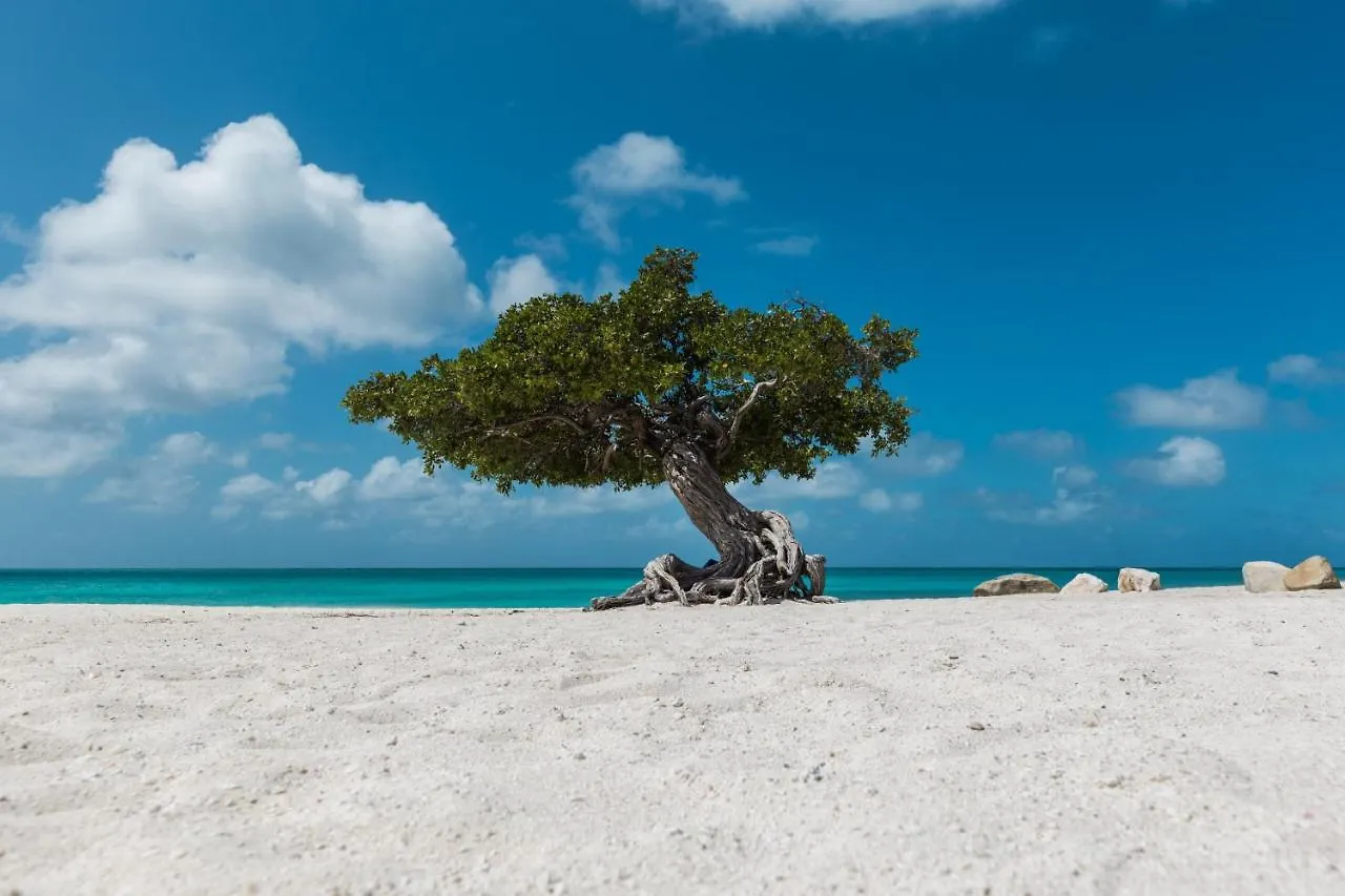 Feriehus Bubali 119-Q Villa Aruba